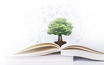 W020250808356720411113