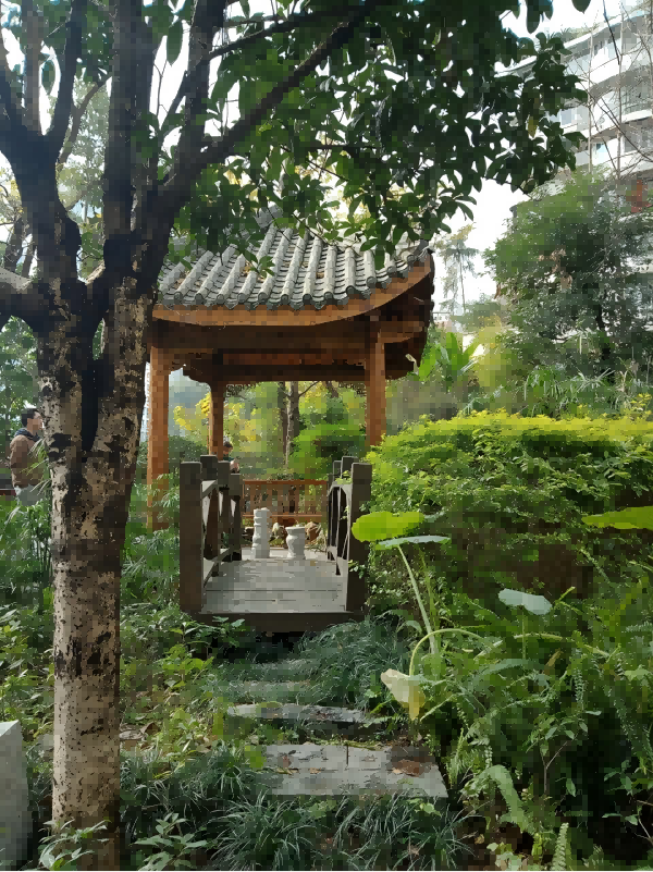 W020250812601843921291