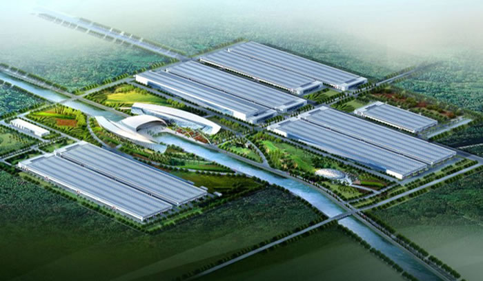 W020250815519371912206