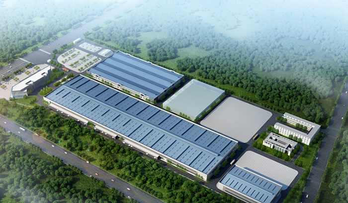 W020250815521753350461