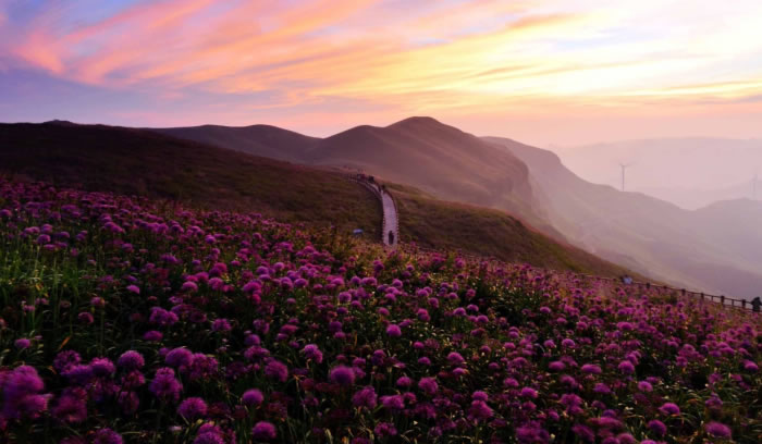 UNIBET(集团)有限公司官网