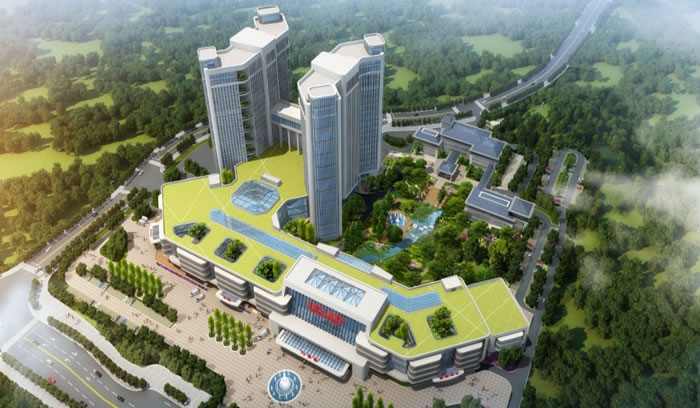 W020250815542978435204