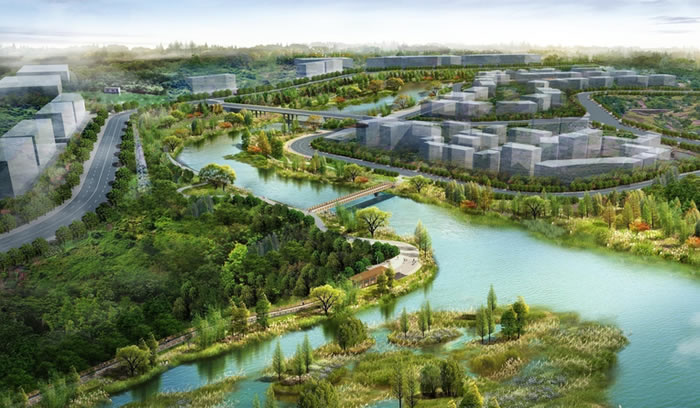 W020250815558048670922