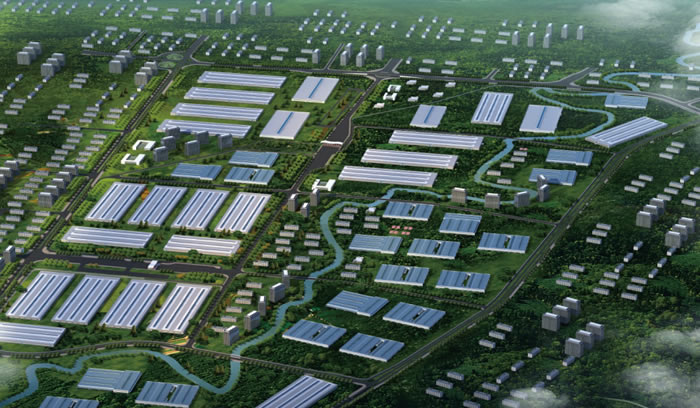 W020250815555769128523