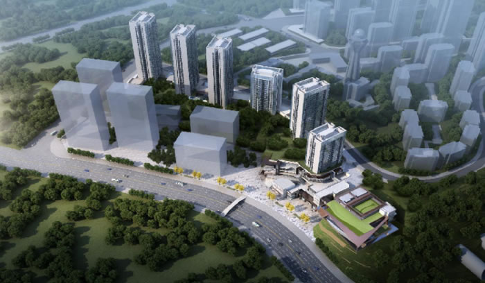 W020250815566228808062